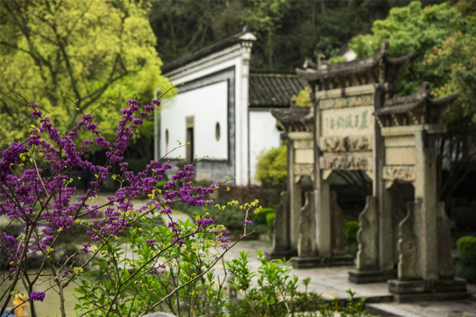 農(nóng)家樂(lè)三日游好去處推薦/上海地區(qū)可上門接送(圖文)