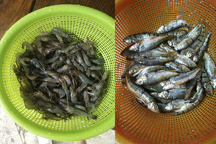 農家樂釣魚好去處浙江桐廬（上海附近休閑釣魚農家樂推薦）