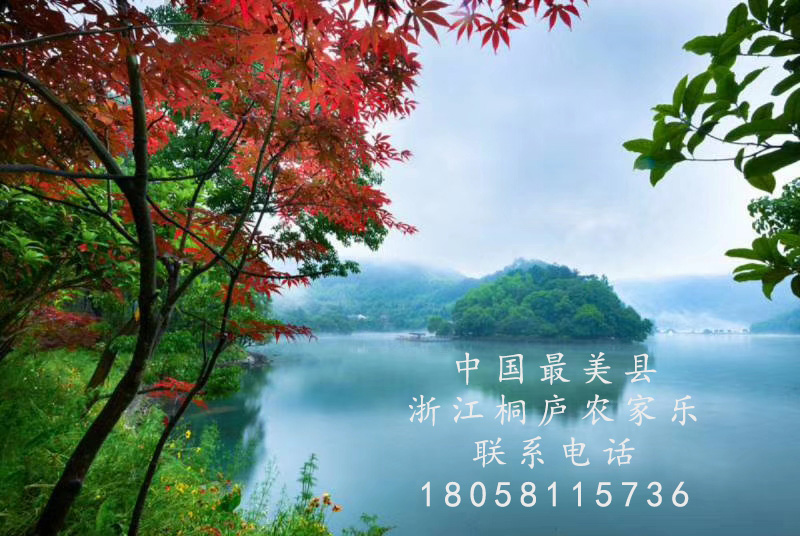 上海橫沙島農(nóng)家樂推薦