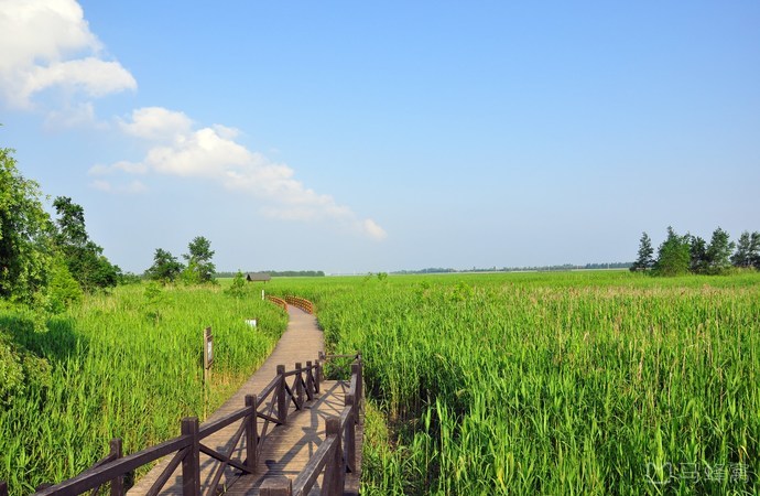 上海周邊周末自駕游推薦/崇明島西沙濕地旅游攻略