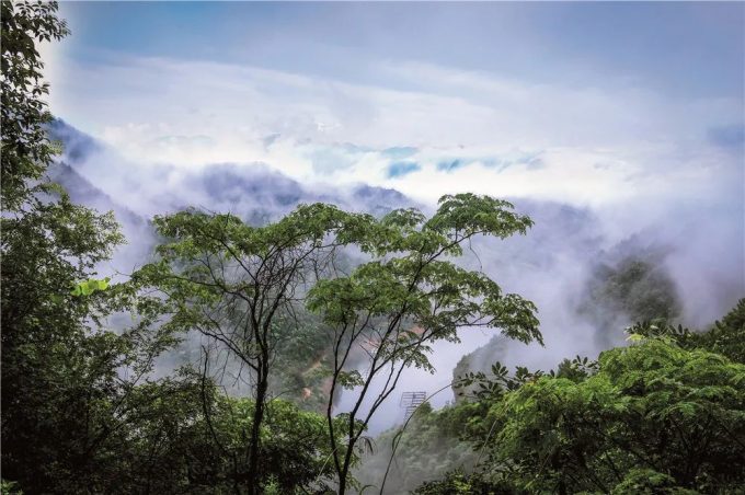 上海周邊游玩最值得去的地方推薦