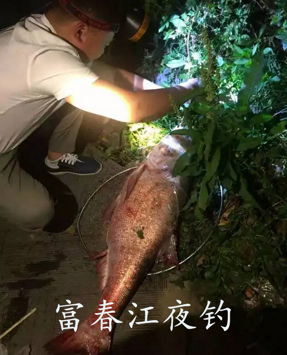 農(nóng)家樂釣魚好去處推薦/上海周邊