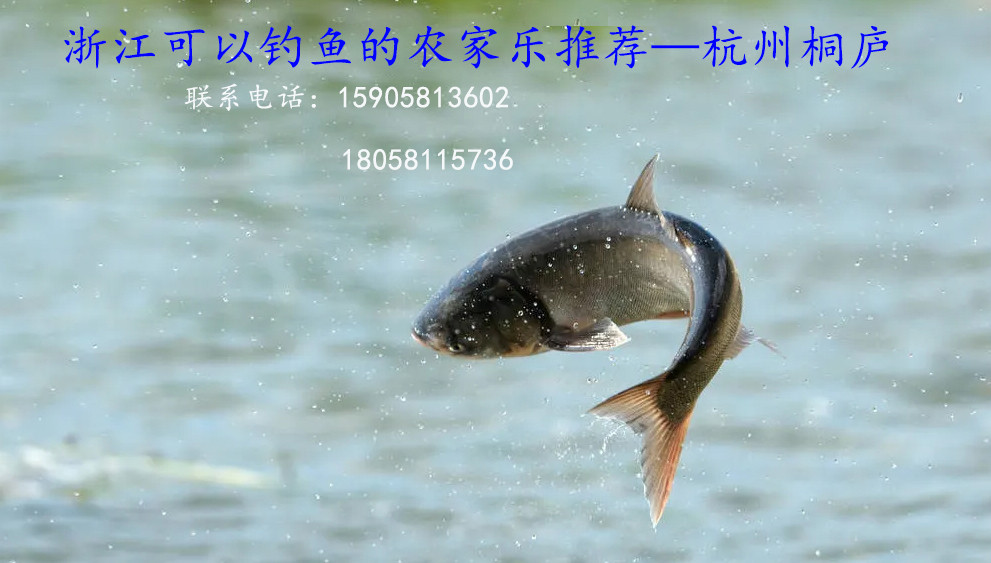 蘇州周邊十大釣魚(yú)好去處（二日游適合農(nóng)家樂(lè)親子游）