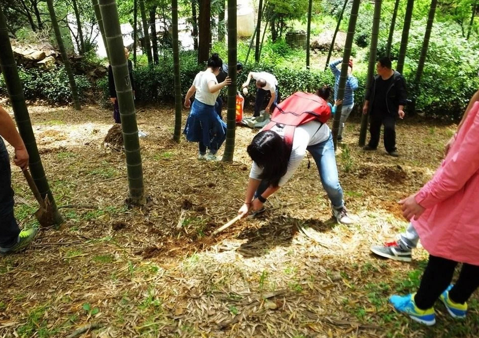 上海周邊可以釣魚(yú)的農(nóng)家樂(lè)預(yù)定