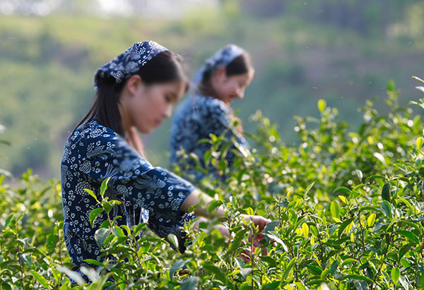 附近可以挖筍/采茶葉/的農(nóng)家樂(lè)/杭州/蘇州/無(wú)錫/嘉興